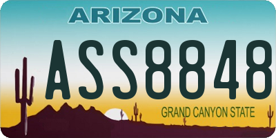 AZ license plate ASS8848