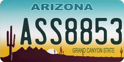 AZ license plate ASS8853