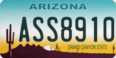 AZ license plate ASS8910