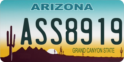 AZ license plate ASS8919