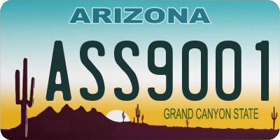 AZ license plate ASS9001