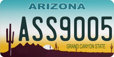 AZ license plate ASS9005