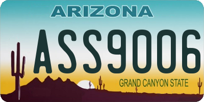 AZ license plate ASS9006