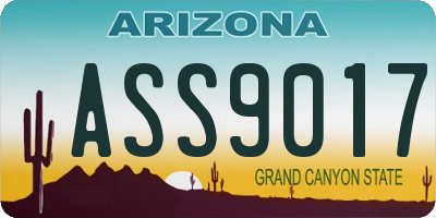 AZ license plate ASS9017