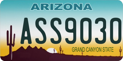 AZ license plate ASS9030