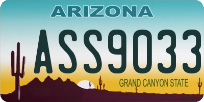 AZ license plate ASS9033