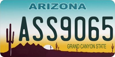AZ license plate ASS9065