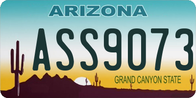 AZ license plate ASS9073
