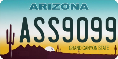AZ license plate ASS9099