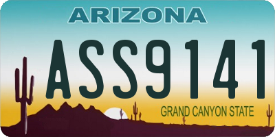 AZ license plate ASS9141