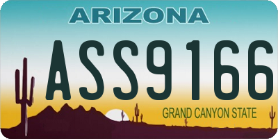 AZ license plate ASS9166