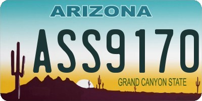 AZ license plate ASS9170