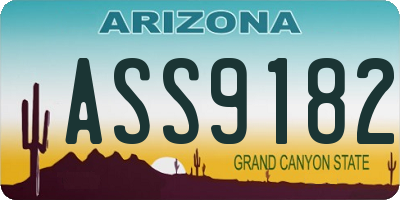 AZ license plate ASS9182