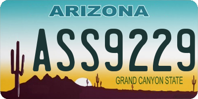 AZ license plate ASS9229