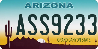 AZ license plate ASS9233