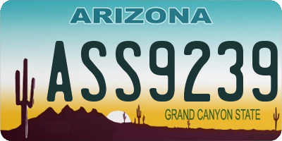 AZ license plate ASS9239