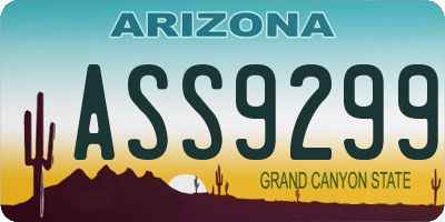 AZ license plate ASS9299