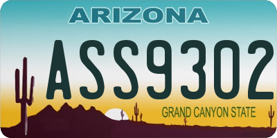 AZ license plate ASS9302