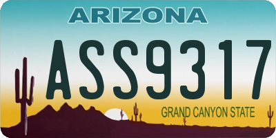AZ license plate ASS9317