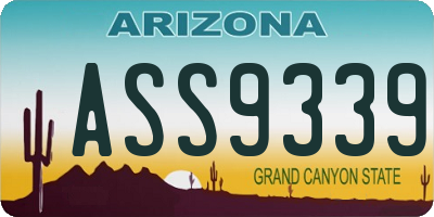 AZ license plate ASS9339