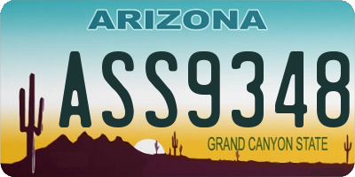 AZ license plate ASS9348