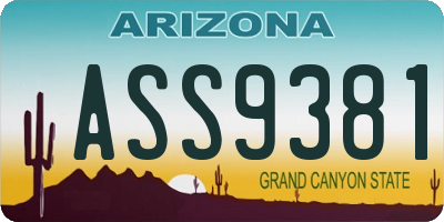 AZ license plate ASS9381