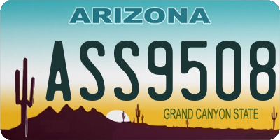AZ license plate ASS9508