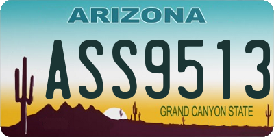 AZ license plate ASS9513