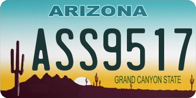 AZ license plate ASS9517