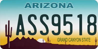 AZ license plate ASS9518