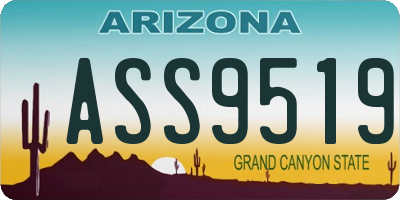 AZ license plate ASS9519