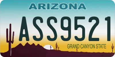 AZ license plate ASS9521