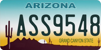 AZ license plate ASS9548