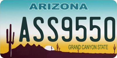 AZ license plate ASS9550