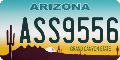 AZ license plate ASS9556