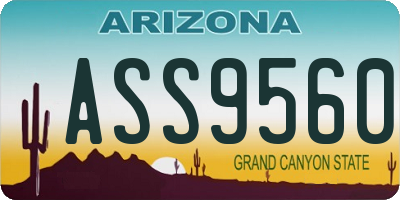 AZ license plate ASS9560