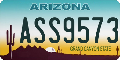 AZ license plate ASS9573