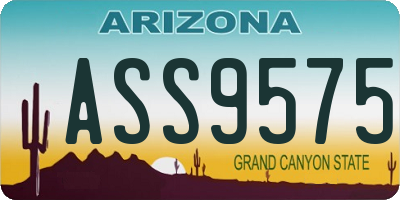 AZ license plate ASS9575