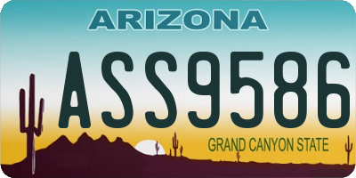 AZ license plate ASS9586