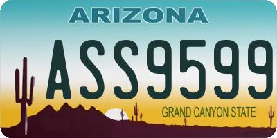 AZ license plate ASS9599