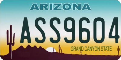 AZ license plate ASS9604