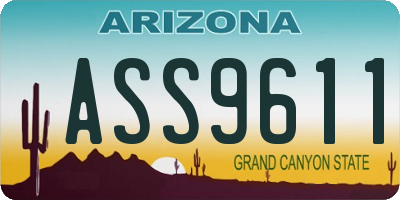 AZ license plate ASS9611