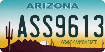 AZ license plate ASS9613