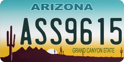 AZ license plate ASS9615