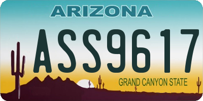 AZ license plate ASS9617