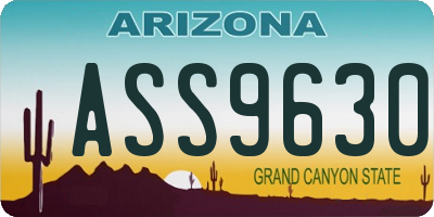 AZ license plate ASS9630