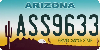AZ license plate ASS9633
