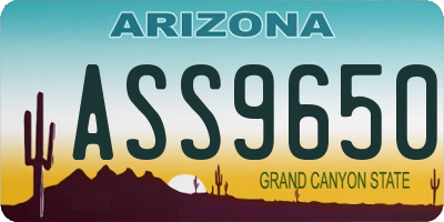 AZ license plate ASS9650