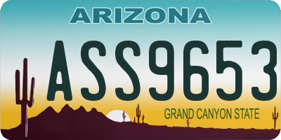 AZ license plate ASS9653
