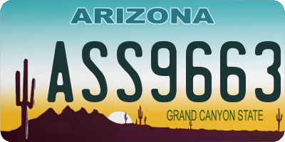 AZ license plate ASS9663